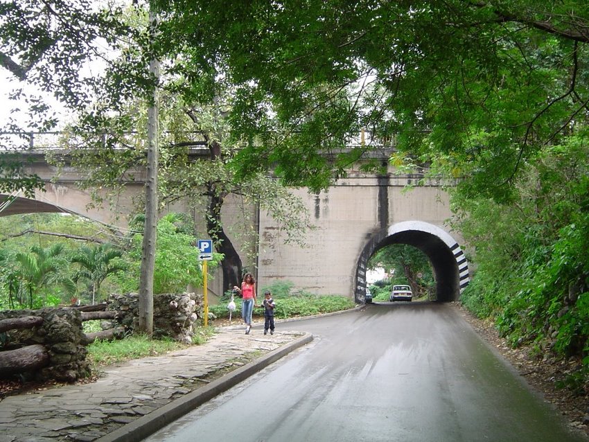 Avenida del Parque Almendares
