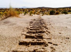 Rally Dakar 2018