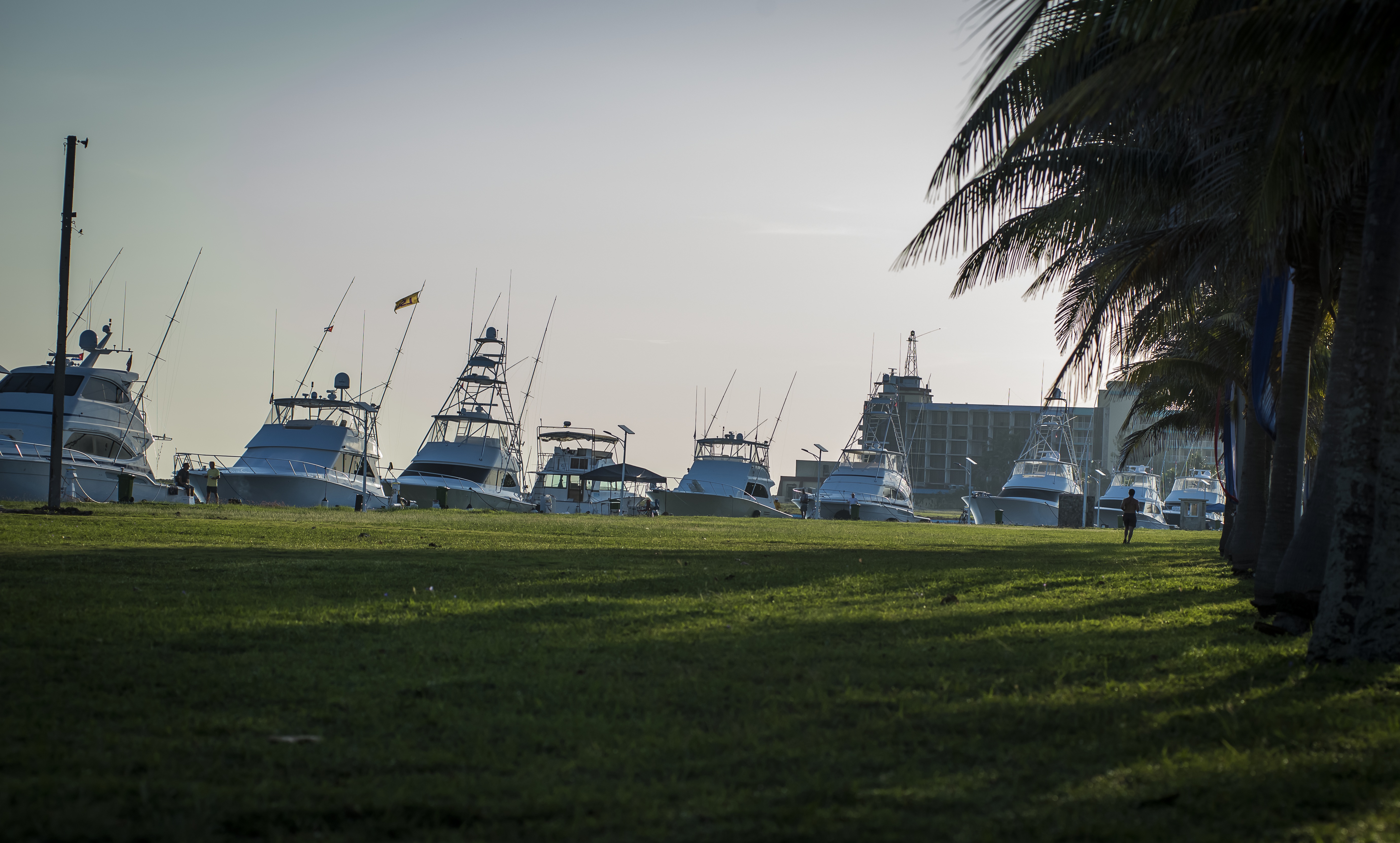 Torneo Internacional de la Pesca de la Aguja Ernest Hemingway