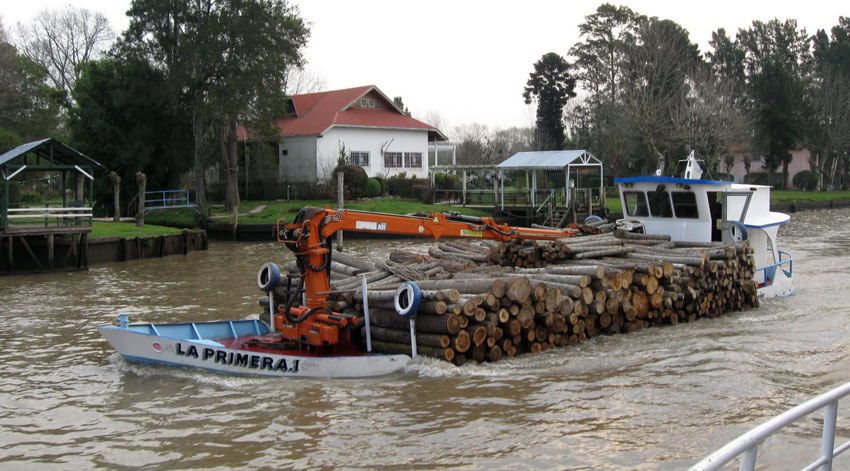 Barcos madereros