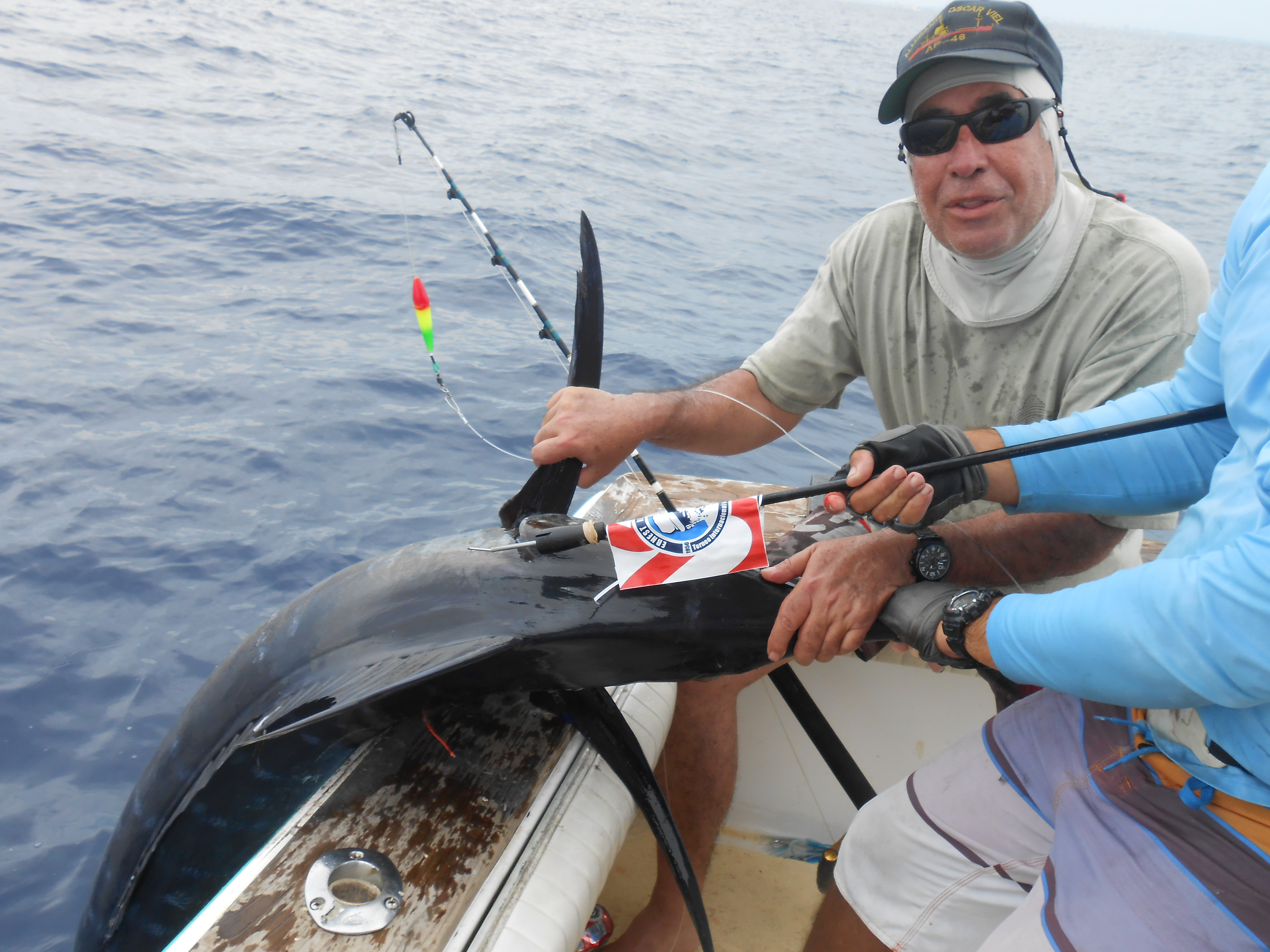 Francisco Monge valida la captura de un castero azul en la segunda jornada de pesca.