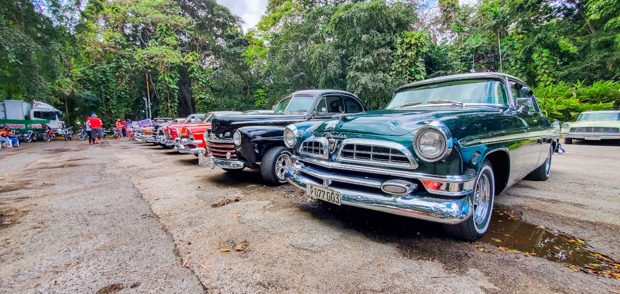 Club de Autos Antiguos A LO CUBANO