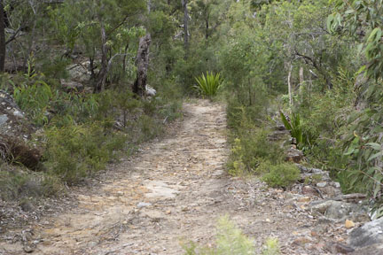 La Gran Carretera del Norte en Australia