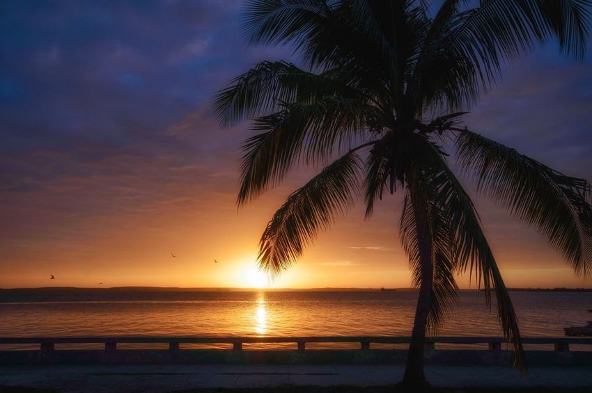 El Malecón de Cienfuegos al atardecer