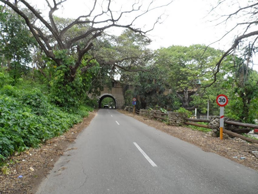 Recorrido de la Avenida del Parque Almendares