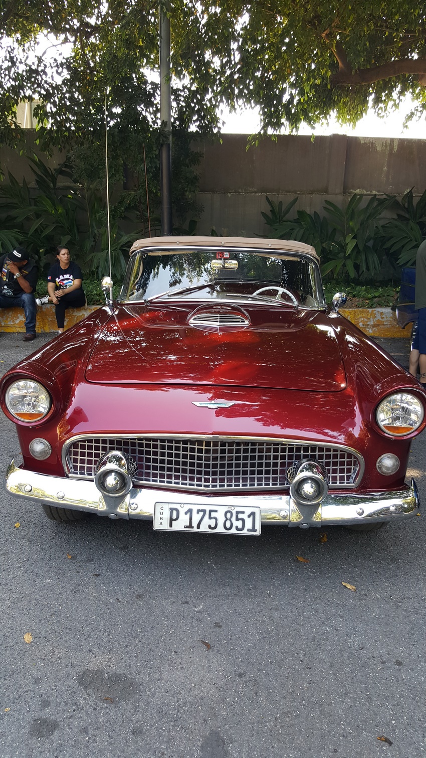 Ford Thunderbird