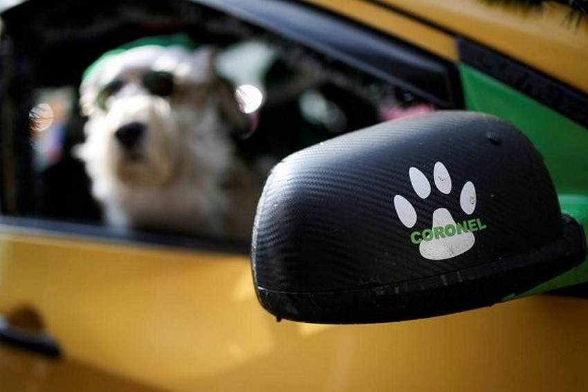 El taxista Nicolás y su perro Coronel