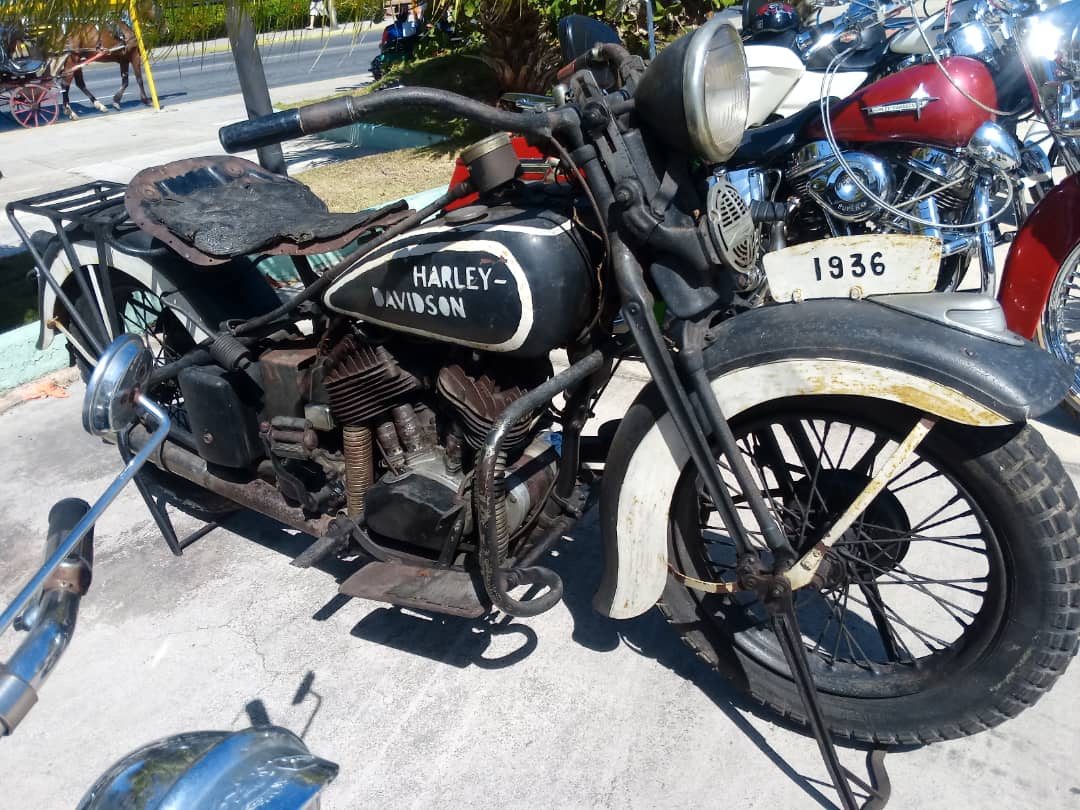Harley