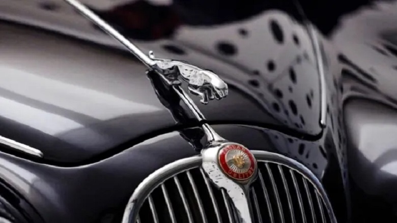 ¿Qué pasó con las insignias en el capó de los coches?