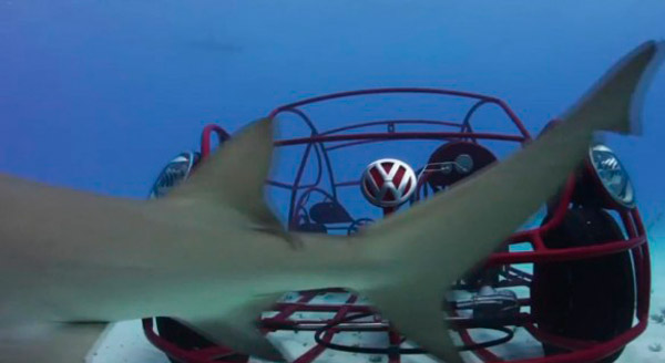 Conduciendo entre tiburones con un VW Beetle