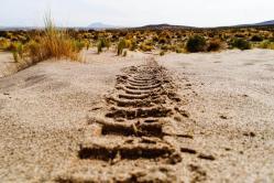 Rally Dakar 2018