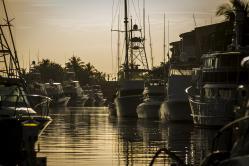 Torneo Internacional de la Pesca de la Aguja Ernest Hemingway