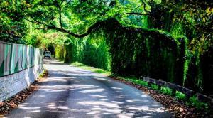 Avenida del Parque Almendares