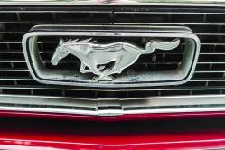 El caballo de Ford