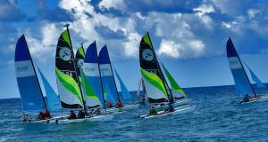 Marlin Tarará: ¡A toda vela! Marlin Tarará: ¡A toda vela!