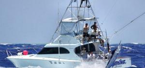 Pesca de la Aguja Ernest Hemingway Hemingway vuelve a La Habana