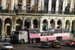Camello en Cuba Los camellos habaneros