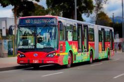 BYD, mucho más que autos compactos