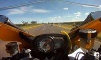 Un motorista a 265 km/h es atacado por una serpiente