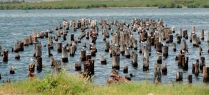 El Muelle de las Cucarachas