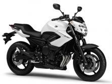 Yamaha XJ6 N 2013 Yamaha XJ6 N 2013. Presencia necesaria