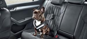 Accesorios de seguridad para perros de Skoda Cinturón de Seguridad para perros