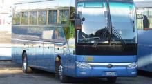 COVID-19