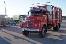 Leyland Comet, un tipo duro