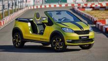 ¿Un nuevo elemento para la familia de Skoda?